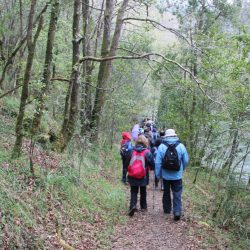 La asociación ambiental “Senda Nova”