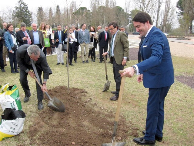 La gestión forestal en Castilla y León ha recuperado el 60% de la superficie perdida