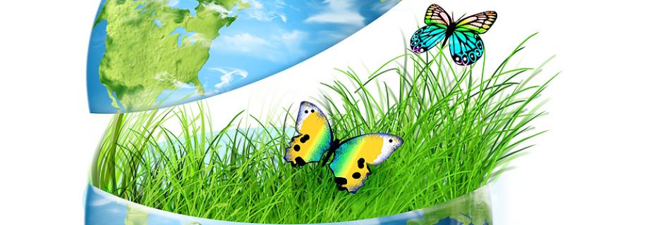 El Banco Asiático de Desarrollo estudia el modelo energético sostenible de Andalucía