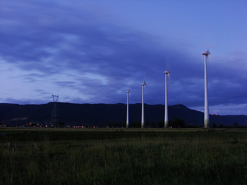 Soler anuncia la creación de un fondo de 30 millones para impulsar el uso de las renovables en empresas