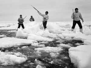 Especies invasoras amenazan seriamente la pesca en el Ártico
