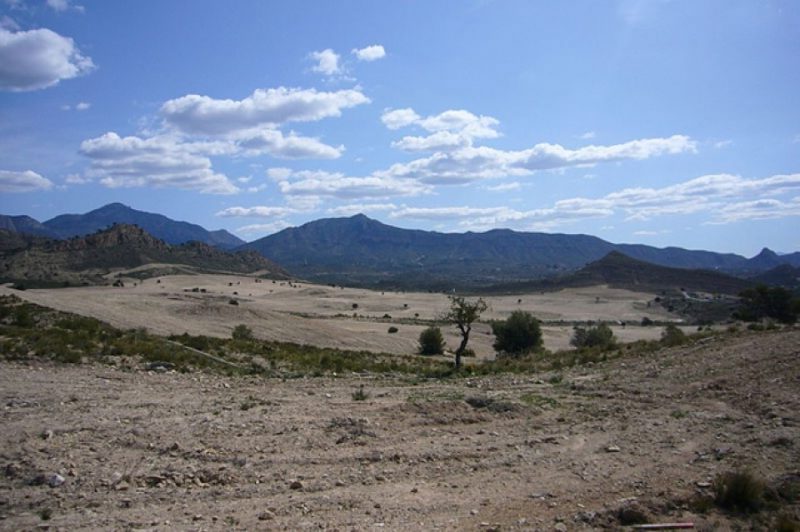 La imprevisión y la sequía: dos enemigos crónicos de España y su Medio Ambiente