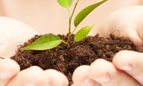 Inversión Socialmente Responsable: de dónde viene y a dónde va…