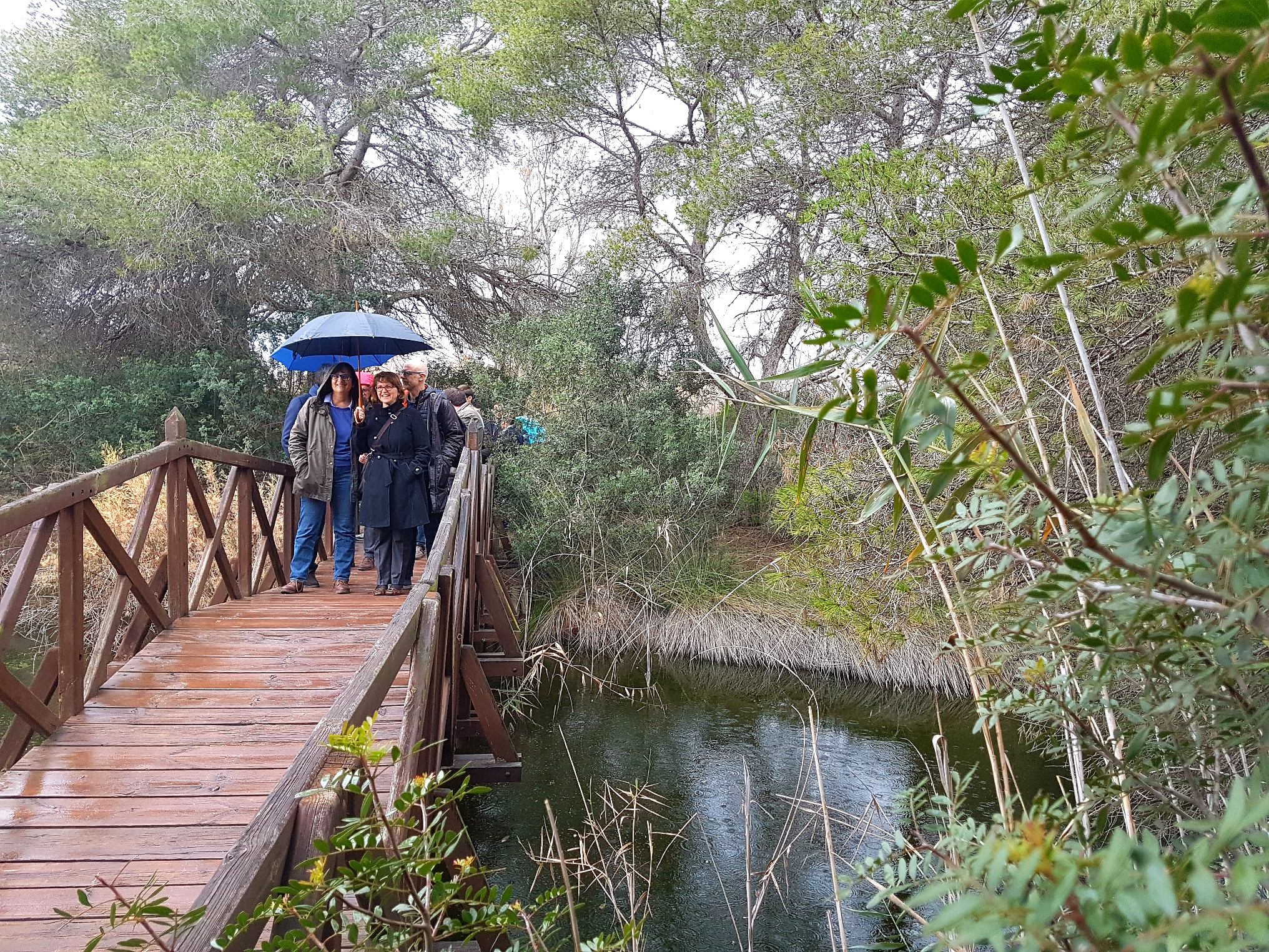 Cebrián reivindica en la Albufera la colaboración entre administraciones en el Día de los Humedales