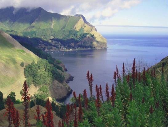 Técnicos de la Reserva de la Biosfera Juan Fernández (Chile) visitan El Hierro