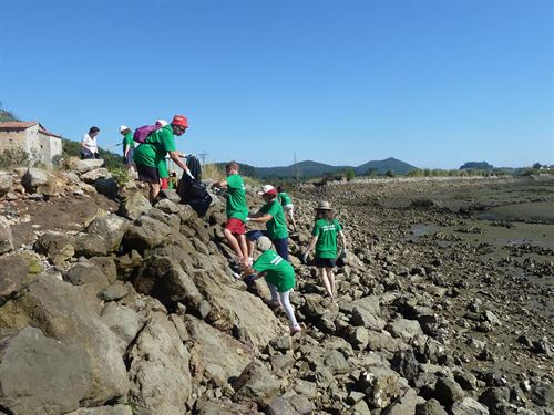 Jornada para salvar aves acuáticas en las Marismas de Santoña