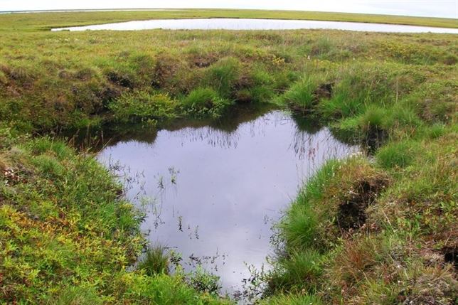 Los lagos de deshielo del permafrost absorben gases de efecto invernadero
