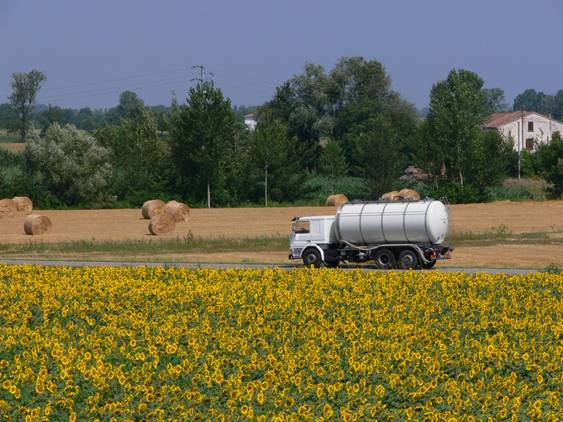 Europa cerrará un acuerdo sobre agrocombustibles