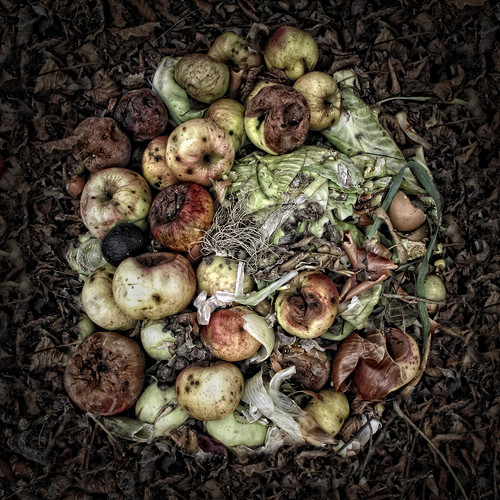 Innovadora planta modular para el tratamiento de residuos orgánicos