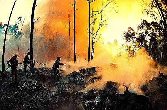 Los recursos destinados en El Hierro a limpieza de montes y prevención contra incendios forestales bajan un 41