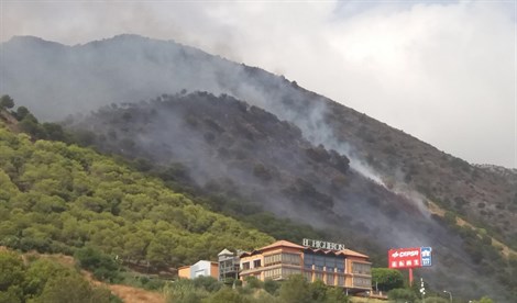 Estabilizado el incendio forestal en Benacazón (Sevilla)