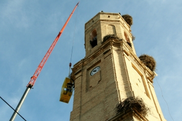 Es ‘vital’ que las retiradas de los nidos de cigüeña se lleven a cabo en agosto y no en enero