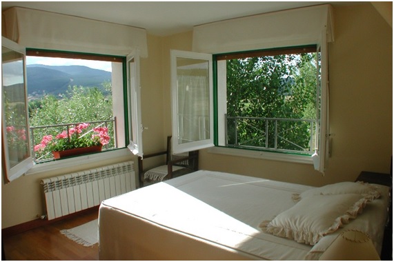 Colchones y almohadas naturales