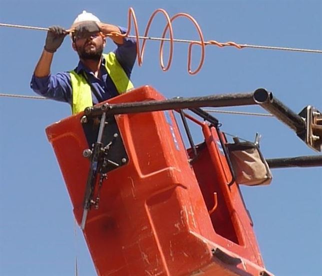 Murcia. Medio Ambiente corrige 4 apoyos en líneas eléctricas de la ZEPA de las Lagunas de Las Moreras