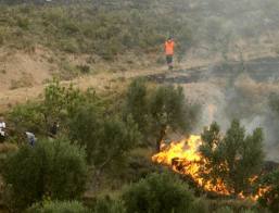 Agricultores llaman a la responsabilidad de los ciudadanos en la prevención de incendios forestales