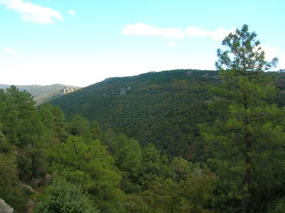 Andalucía invertió medio millón de euros en la conservación del Parque Natural de Despeñaperros