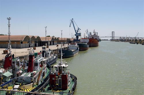 WWF recuerda al Puerto que el Ministerio ya desestimó el dragado del Guadalquivir
