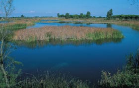 Medio Ambiente  elabora la primera base de datos sobre obras artísticas asociadas al agua y los ríos