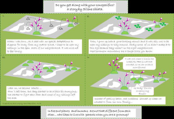 El patrón espacial es clave para evaluar la respuesta de las plantas al cambio climático