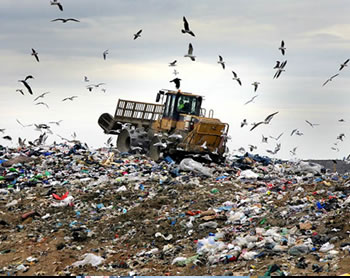 Genera México 41 millones de tons. de residuos sólidos urbanos al año: Semarnat