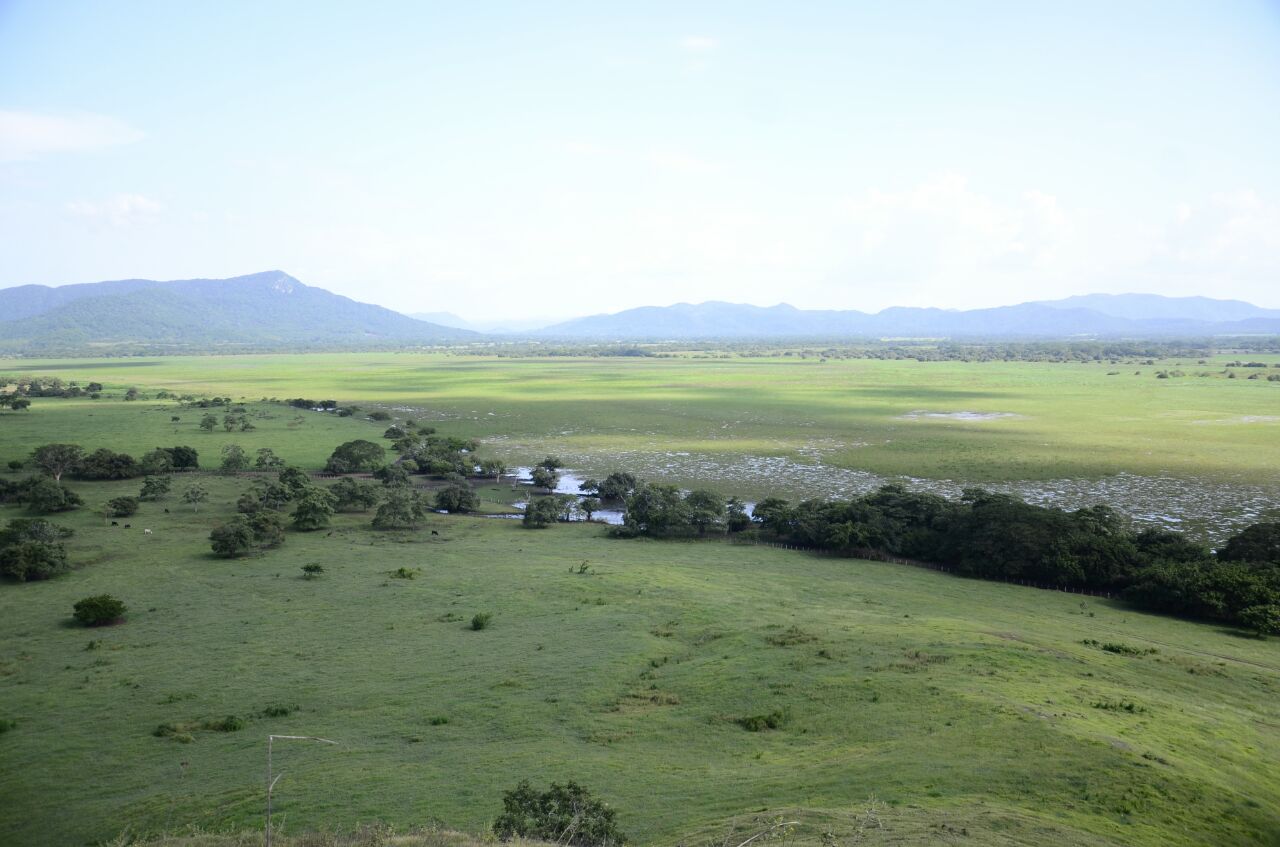 Humedales generan más de $3 mil millones al país cada año