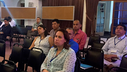 Un estudio muestra cómo el manejo forestal sostenible contribuye a las estrategias REDD+