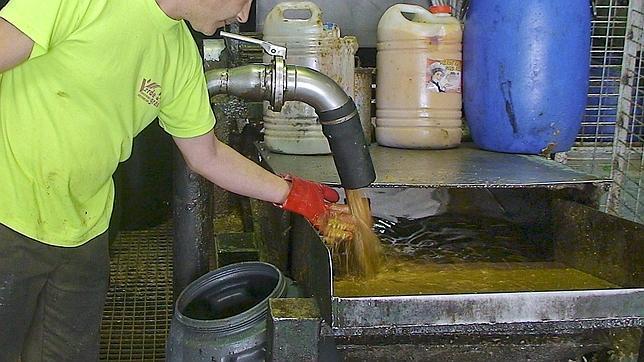 EL contrato de recogida de aceite usado en Sevilla
