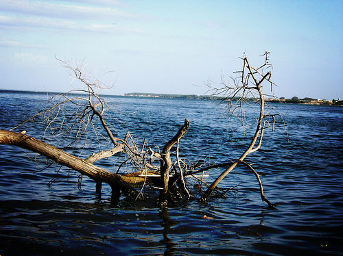 Fuga crónica de petróleo contamina el lago de Maracaibo