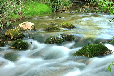 Científicos se reúnen en Cádiz para evaluar los efectos del cambio global en las aguas del Mediterráneo