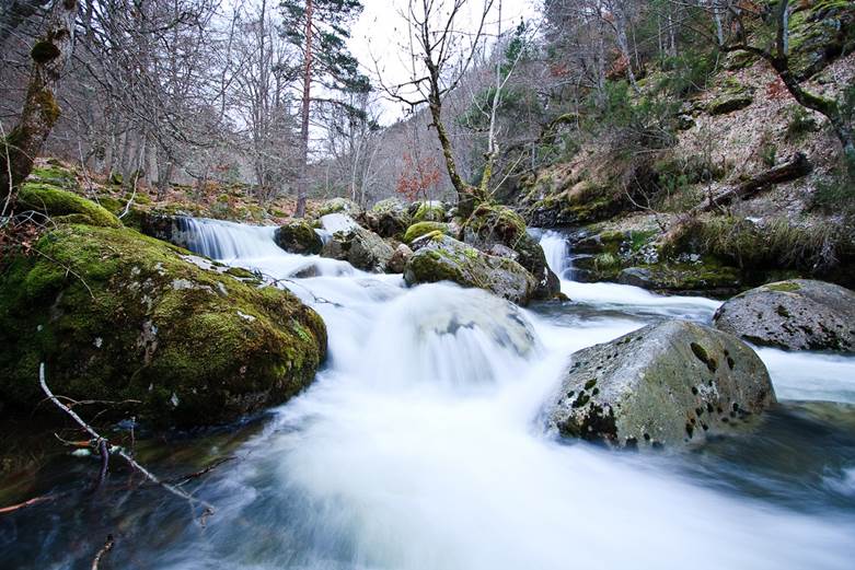 El Parque Sierra Cebollera programa un recorrido guiado sobre leyendas ligadas al bosque