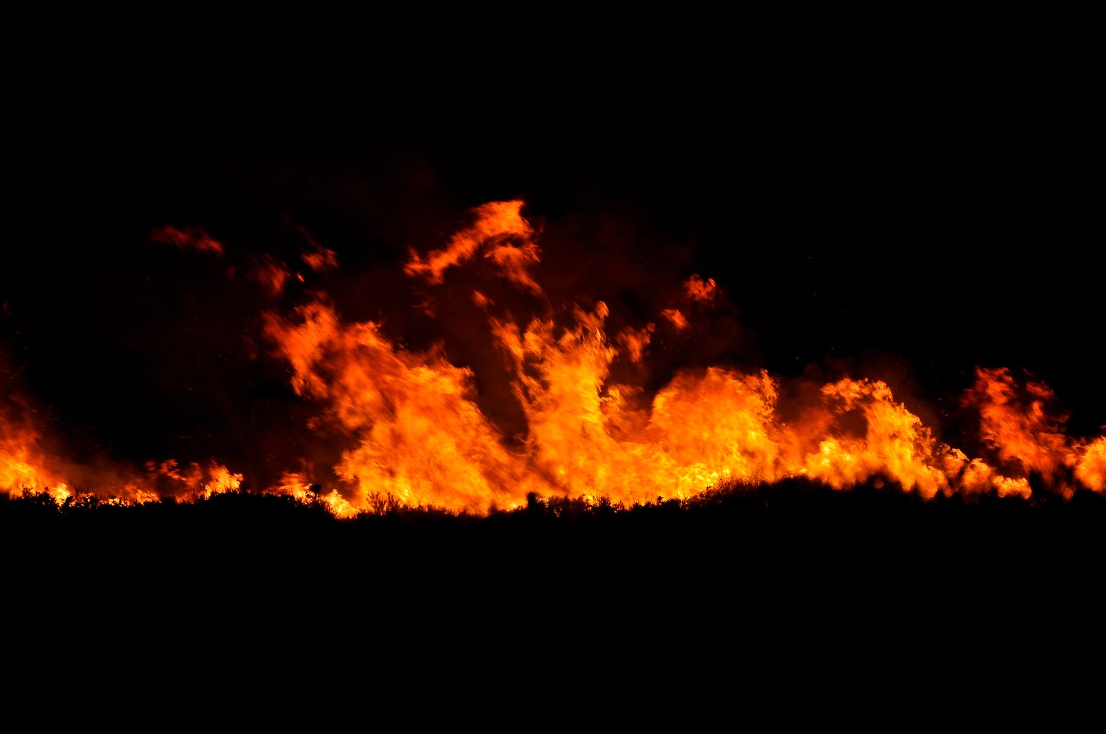 El fuego ha arrasado 20.717 hectáreas en el primer cuatrimestre de 2011