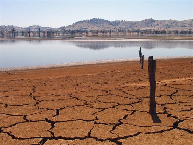 El cambio climático se cobra más de siete millones de muertes cada año