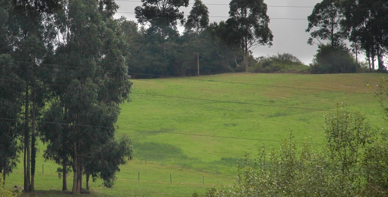 Asturias nos toma el pelo cuando tramita un vertedero como una plantación de manzanos