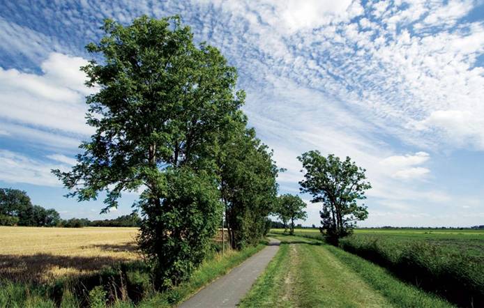 Cataluña destaca la importancia del tercer sector en la formulación y aplicación de las políticas ambientales