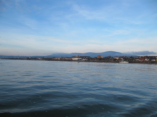 AMBIENTE: Esturiones vuelven al Danubio