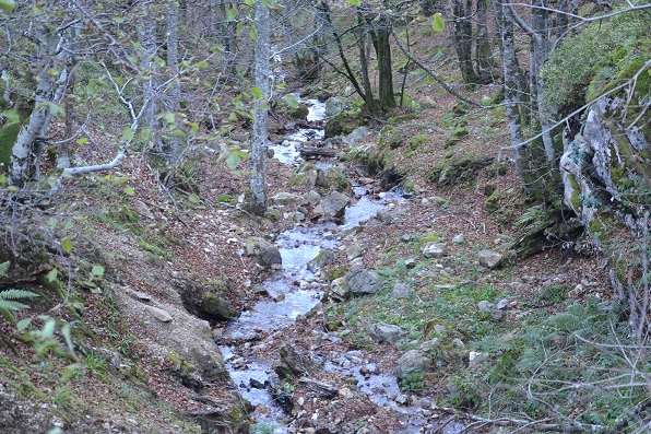 Asturias. El PSOE-Principado aprueba una nueva mina en un parque natural