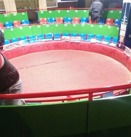 Desmantelado en El Puerto (Cádiz) un reñidero ilegal de peleas de gallos dentro de un bar