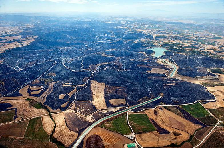 Navarra. El área del incendio forestal de Tafalla declarada zona de desastre natural