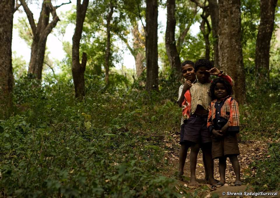 Pueblo indígena de la India se asegura derechos sin precedentes sobre una reserva para tigres
