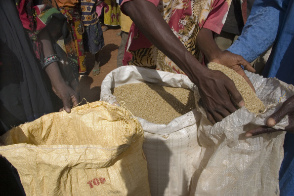 Ocho millones de personas podrían verse afectadas por la hambruna en Níger