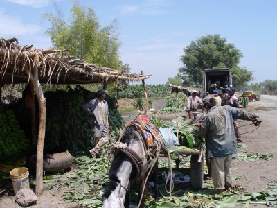 Propuesta peruana de reducción de pobreza en áreas de alta biodiversidad es preseleccionada por la comisión Europea