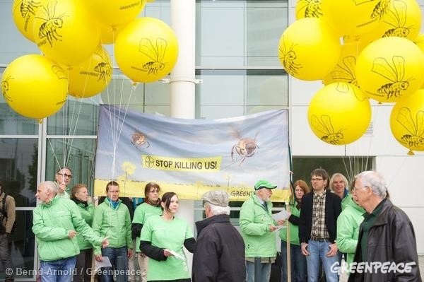 El 90% de las especies con flor dependen de las abejas