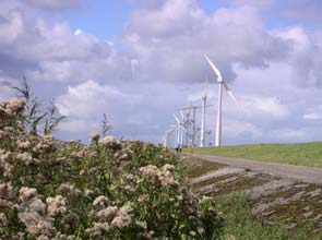 World’s largest wind energy center breaks ground in California