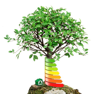 Te proponemos estudiar en un sector con mucho presente y más futuro: gestión y eficiencia energética