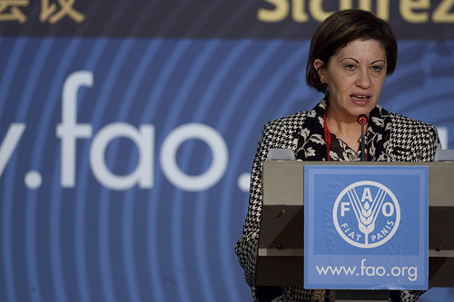 Espinosa pide un "esfuerzo final" a EEUU y emergentes para lograr un acuerdo sobre cambio climático