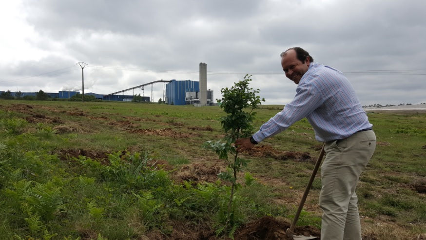 Sogama culmina la revegetación de su complejo industrial