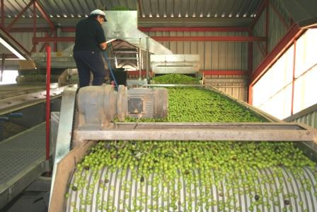 El GDR Aljarafe-Doñana ya ha asignado más de 2.000.000 de euros en subvenciones a proyectos de desarrollo rural