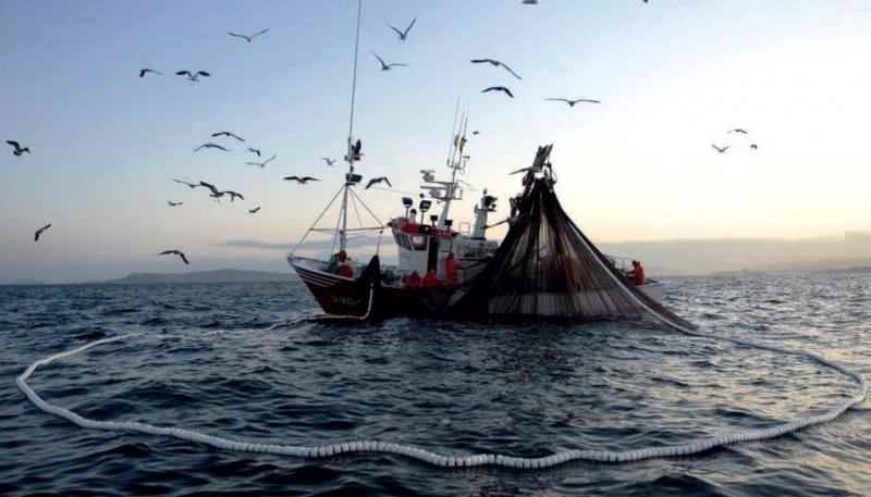 Luz verde al decreto que regula la pesca marítima de recreo en aguas interiores de Murcia