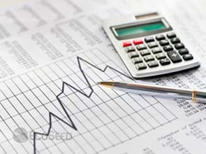 Solar inverter maker profits up in second quarter