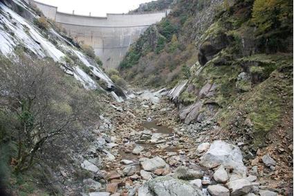 RÍOS CON VIDA reclama la mejora de los ríos salmoneros de Galicia